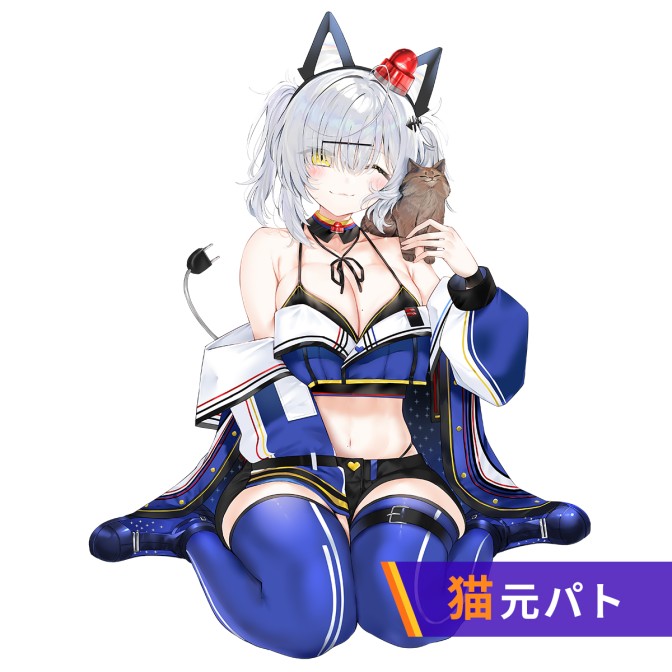 猫元パトのキュインラジオ