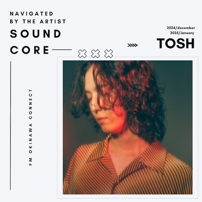 TOSH 〜navigated by the artist [sound core]〜|TOSH|AuDee